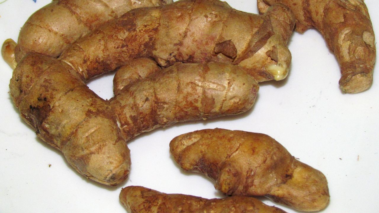 Mango ginger (amba haldi) rhizomes (representative photo)